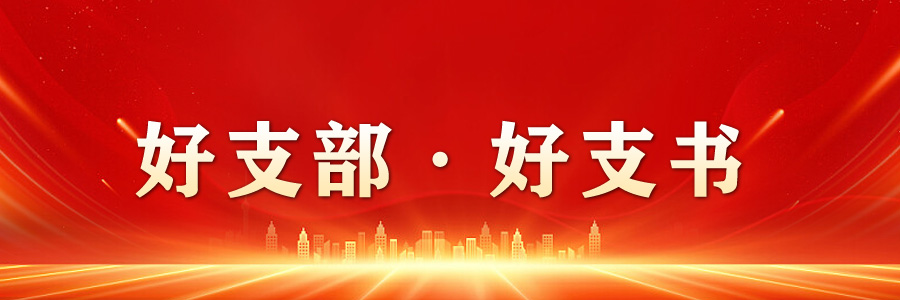 好支部·好支书