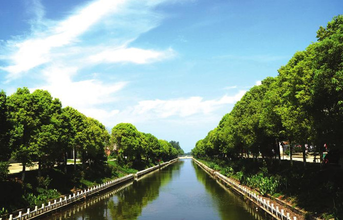 富硒洼地稻飘香:走进三伏潭镇栗林嘴村